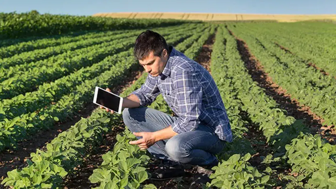 Cursos Online para Agricultores: Como se Capacitar sem Sair da Fazenda