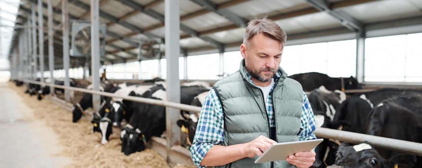 Tecnologia na Pecuária: Inovações que Transformam a Produção Animal